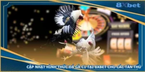 cap-nhat-hinh-thuc-da-ga-c1-tai-8xbet-cho-cac-tan-thu