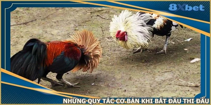 nhung-quy-tac-co-ban-khi-bat-dau-thi-dau