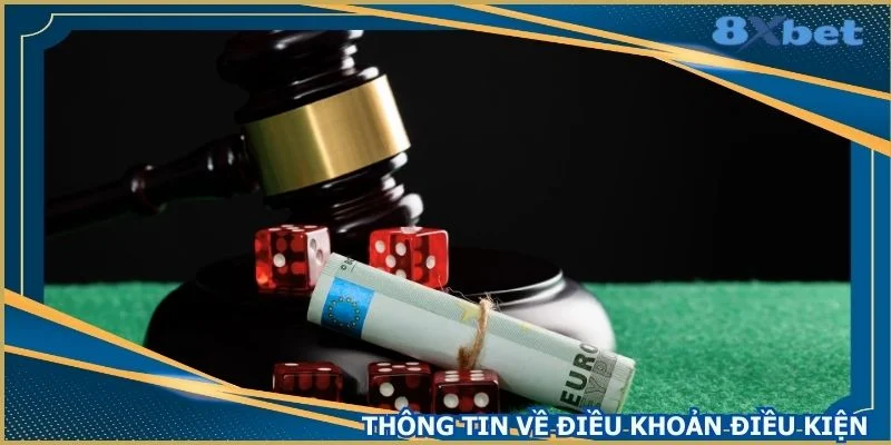 thong-tin-khai-quat-ve-dieu-khoan-dieu-kien-8xbet